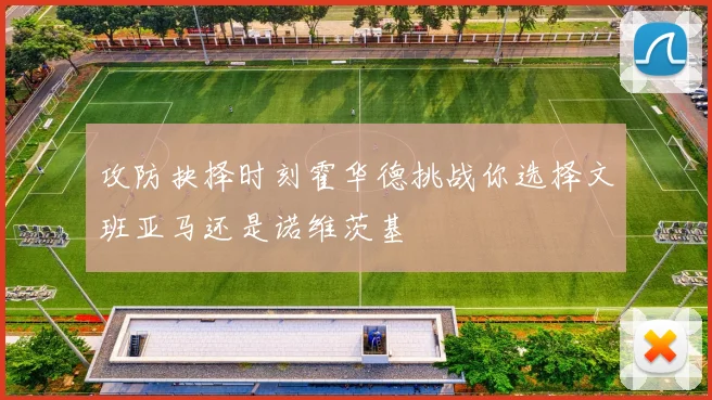 攻防抉择时刻霍华德挑战你选择文班亚马还是诺维茨基