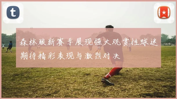 森林狼新赛季展现强大观赏性球迷期待精彩表现与激烈对决